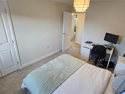 Picture 19